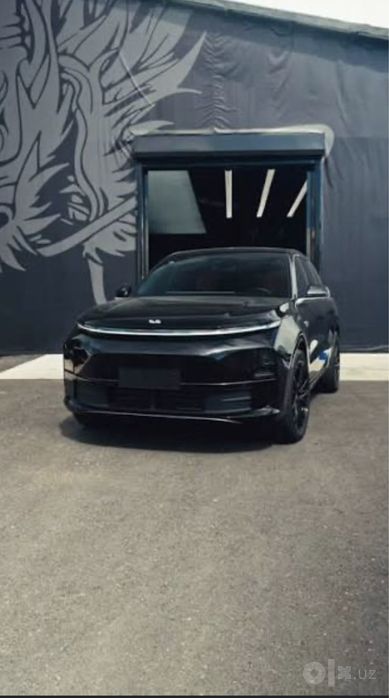 Li 6 black full, variantga