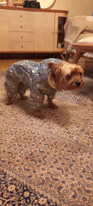 Куртка для собаки