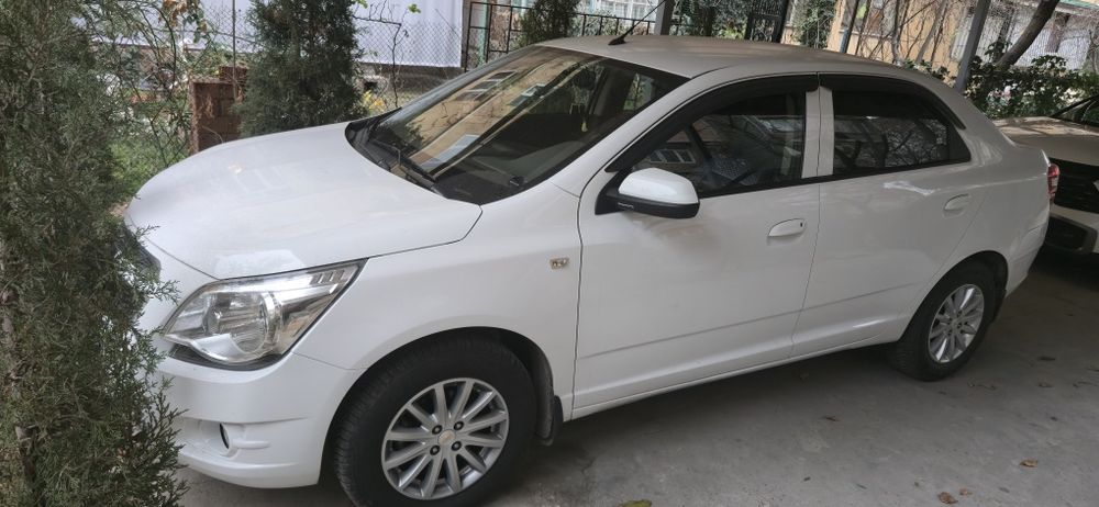 Кобольт 2020 год