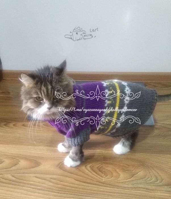 Одежда для собак и кошек на заказ