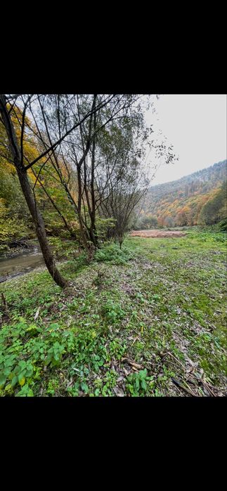 De vanzare Teren tanita 2150 mp