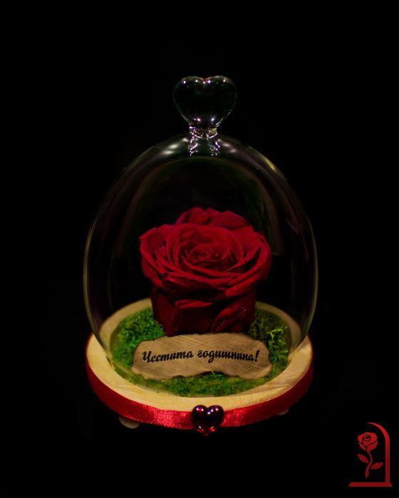 ЕСТЕСТВЕНА Вечна Роза в Стъкленица / Подарък за Коледа за Жена
