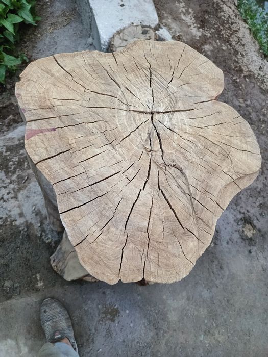 Qassoblar uchun kerak