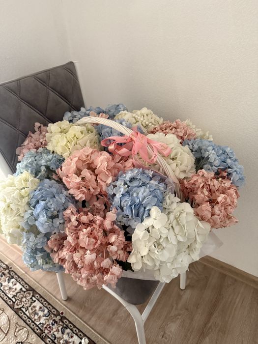 Тура осы күйі әдемі болып тұр