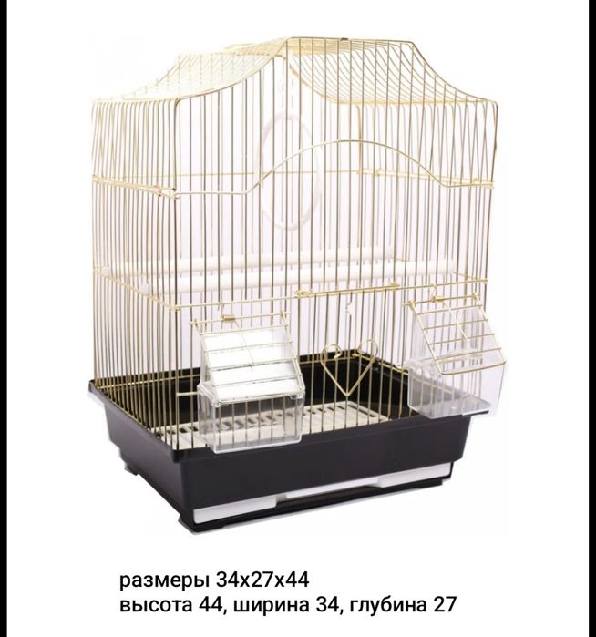 Попугай с клеткой