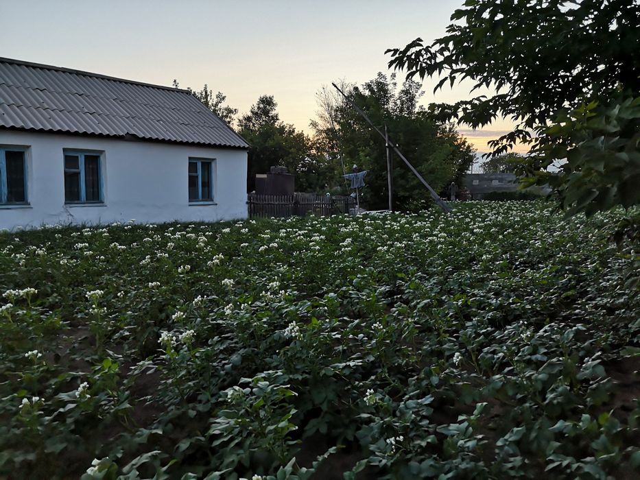 Продам дом с очень большим земельным участком - Görünüm 3