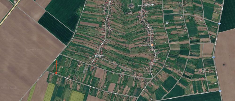 Livada de vanzare