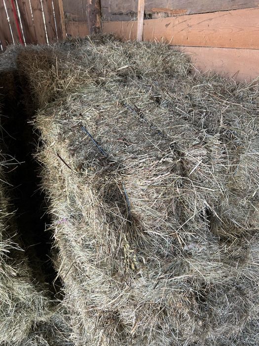 Balot de fan si otava