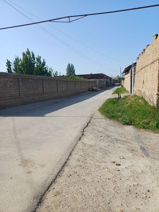 Келес беш кургон 1.5сутих