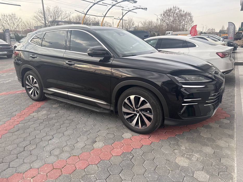 Byd chempion gibrid 2025