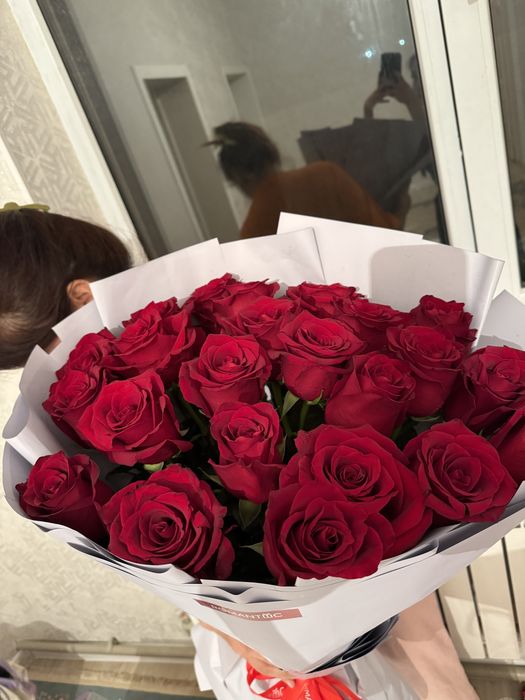 Цветы  роза голландскии 2500