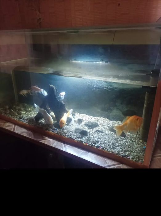 Продам аквариум 550 L