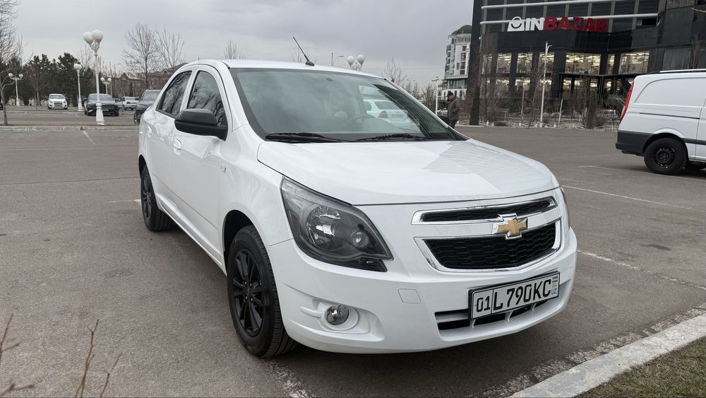 Cobalt Midnight (summit white)