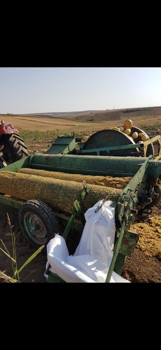 Тикварка с таралеж