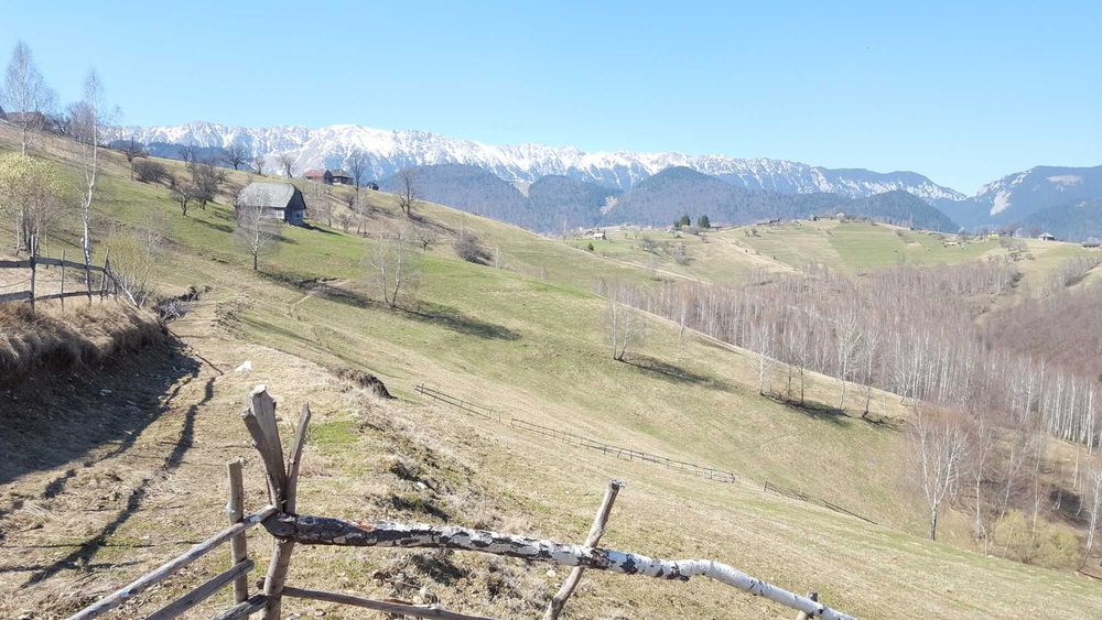 Teren pentru pensiune sau case de vacanta in satul Pestera