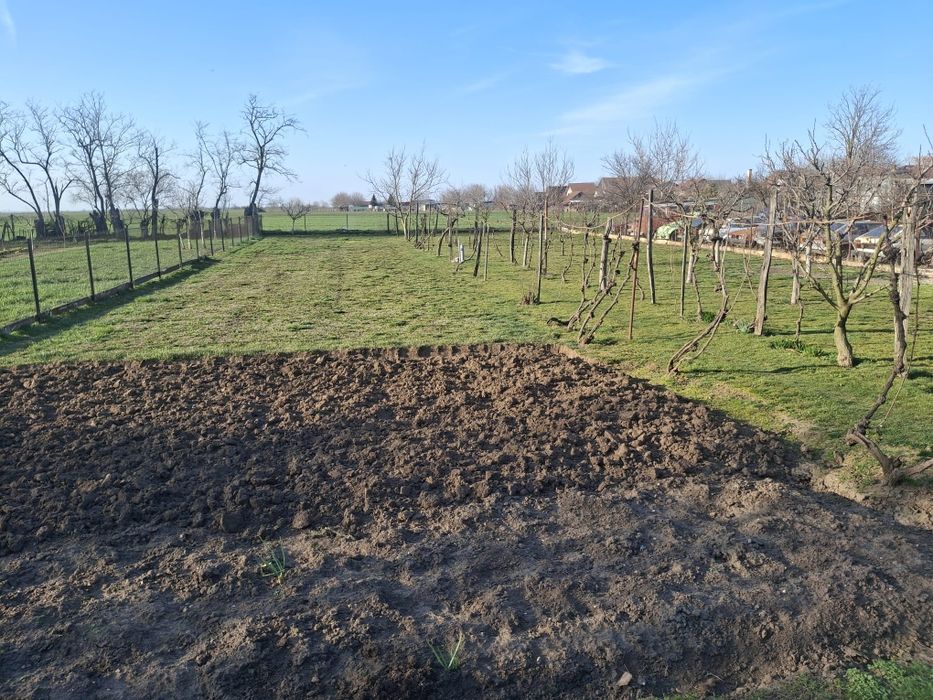 Casă 3 camere ȘOFRONEA