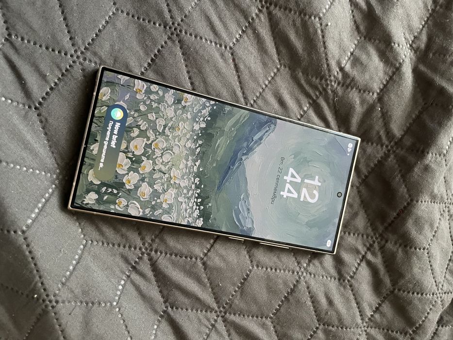 Samsung s24 Ultra 256 GB