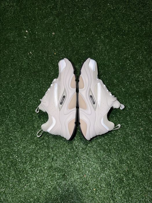 Dior B22