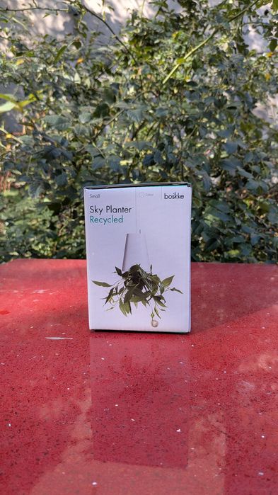 Ghiveti plante suspendat tavan