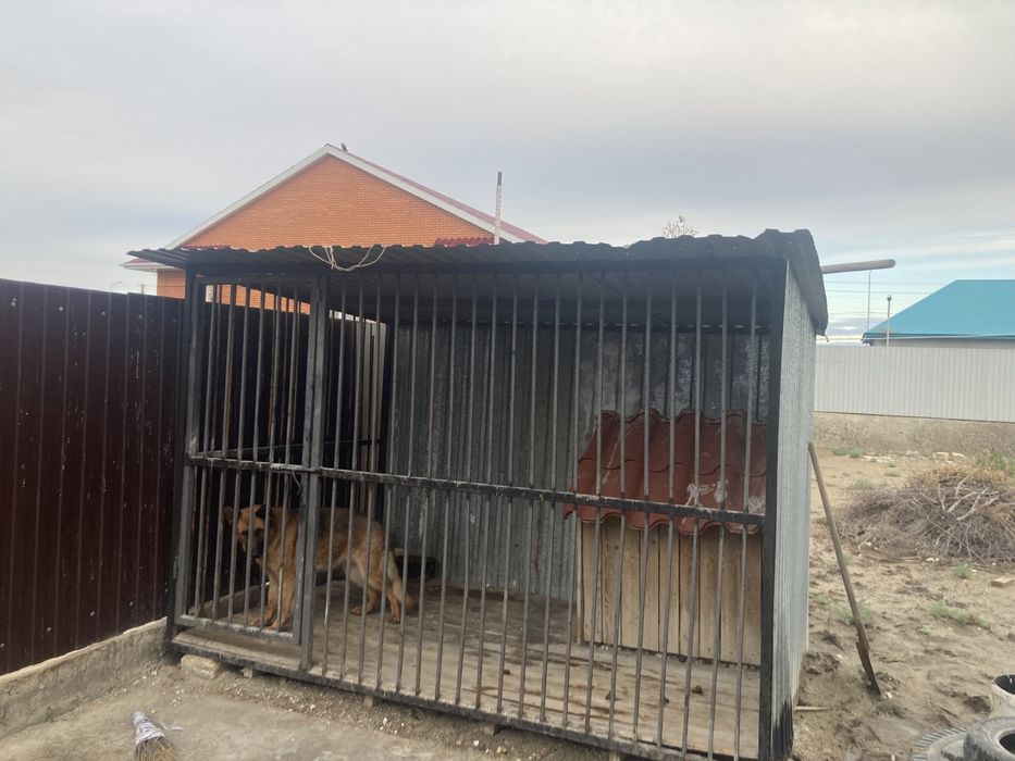 Вольер клетка