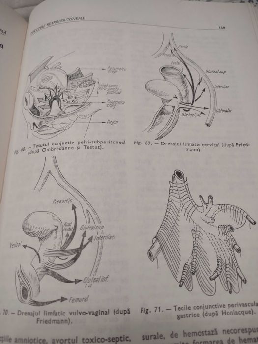 Infecția in obstretică și ginecologie