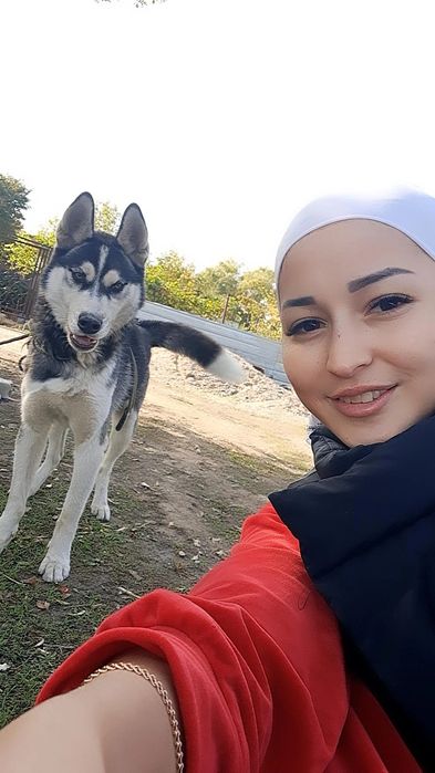 Жас күшік хаси тез арада сатылады