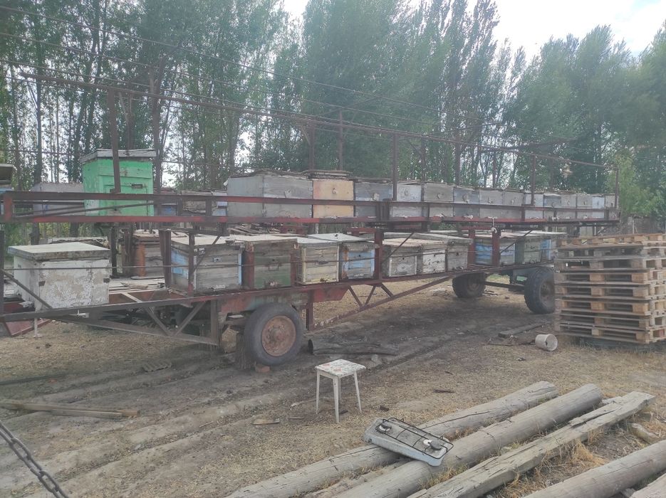 Пчелоприцеп. Прицеп.