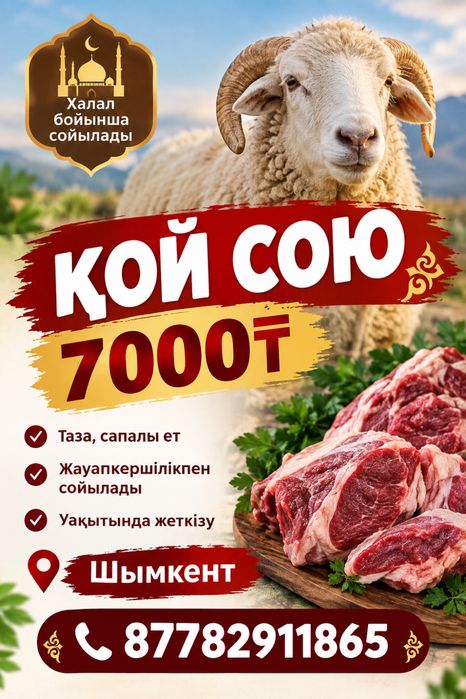 Арзан бағаға сою,7000₸