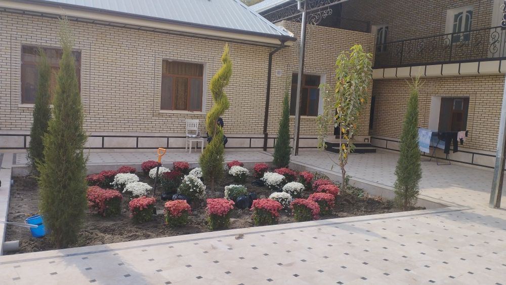 Бухоро.  гуллари