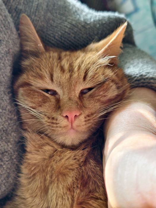 Проектор Xiaomi Mi Smart Projector 2 + приставка Amazon FireTV stick