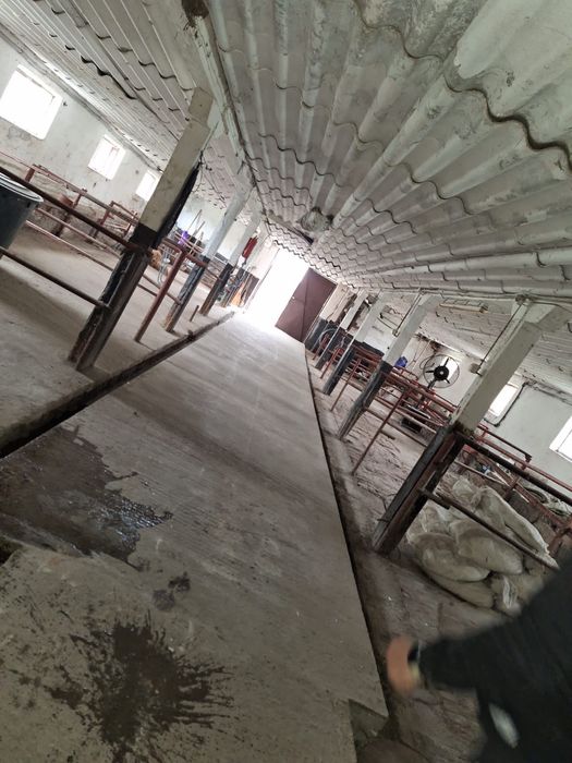 Vand ferma animale accept si variante sau rate