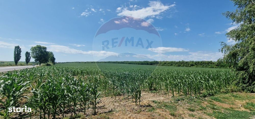 Teren de vanzare 32,000mp in Beresti-Bistrita jud. Bacau