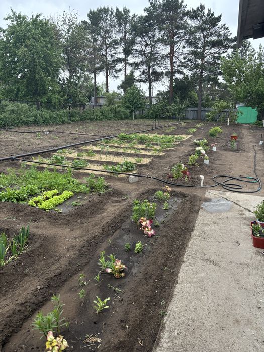 Продам дачу Сосновый бор