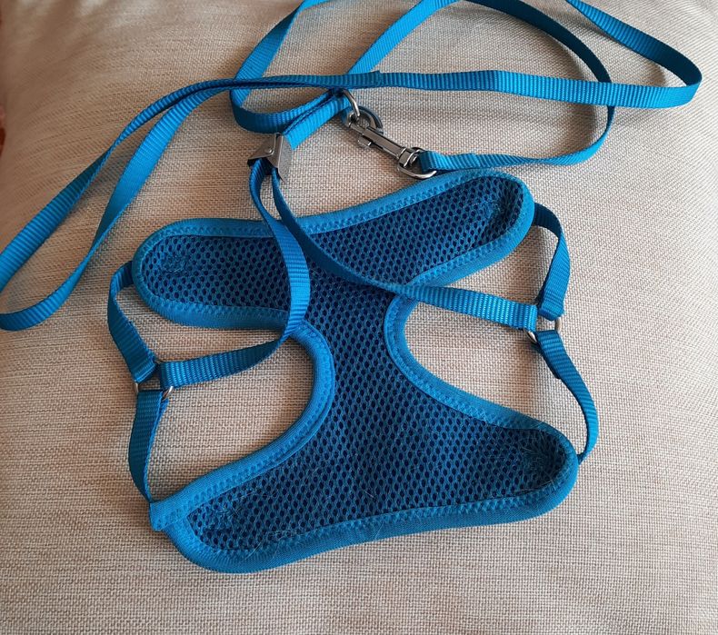 Шлейка для котов