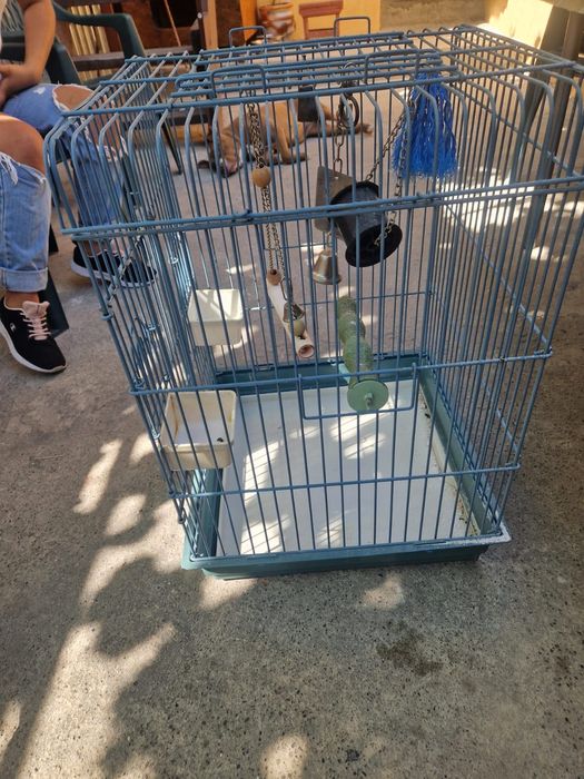 Vând cușcă mare pentru papagal