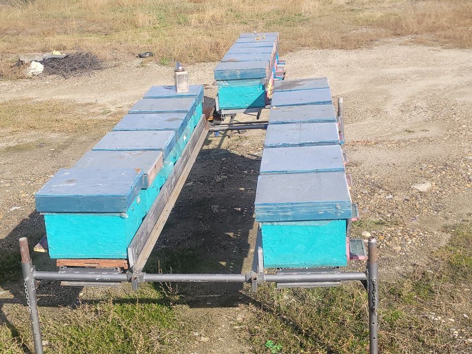 Rastel pentru lăzi albine