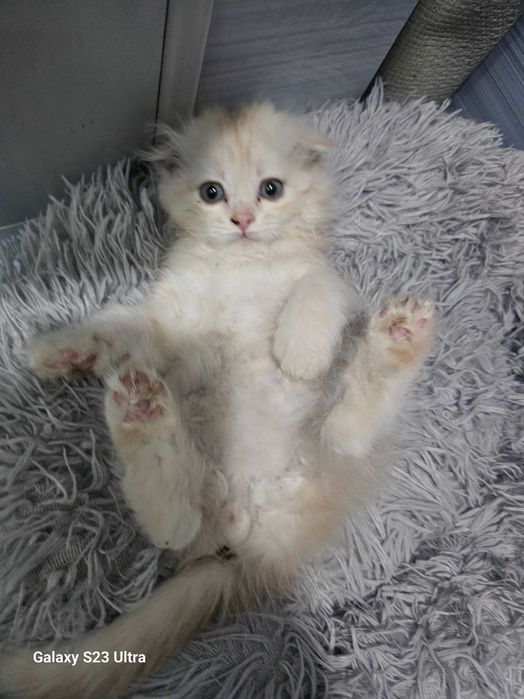 Yubka kiygan qiz lekin külot pornosi yoq