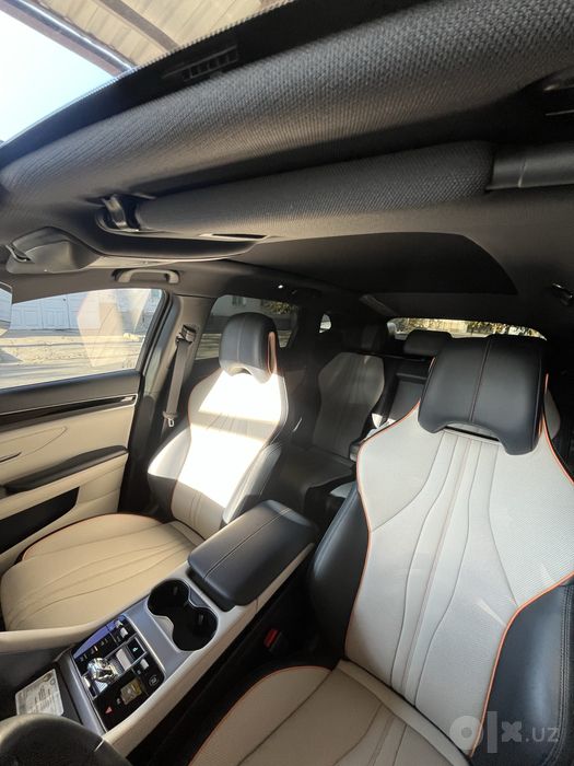 BYD chempion full 605