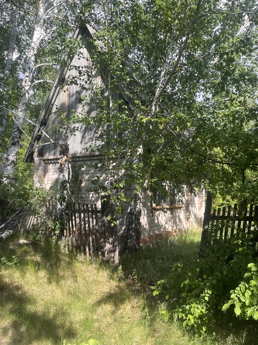 Продам дачу в с/т Борки в лесном массиве