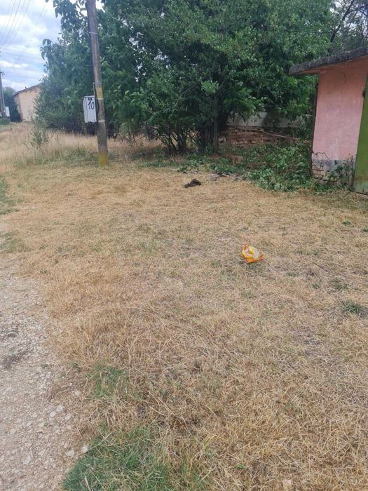 Косене почистване на дворове