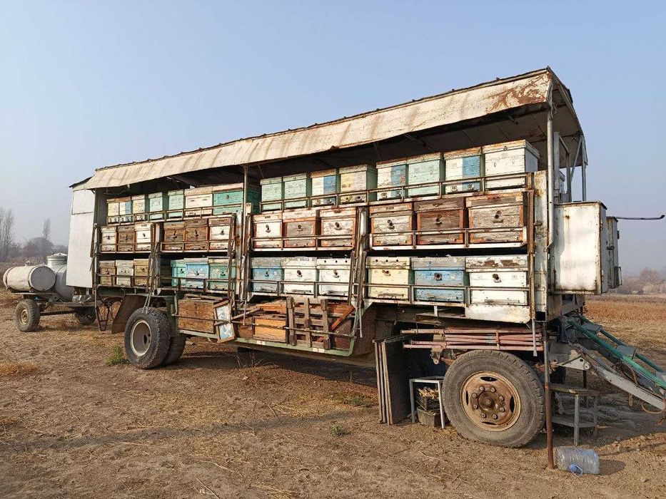 Продаётся ПАСЕКА