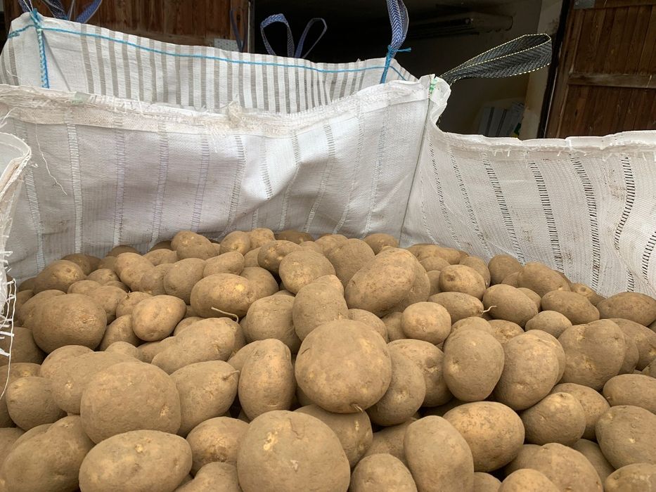 Vand cartof calibru 6+