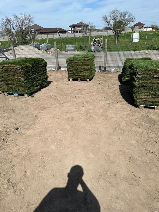 Гозон,посев,укладка готовым,