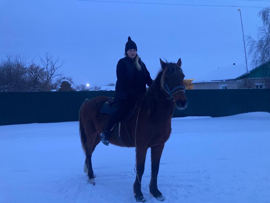 Продам обученных кобыл
