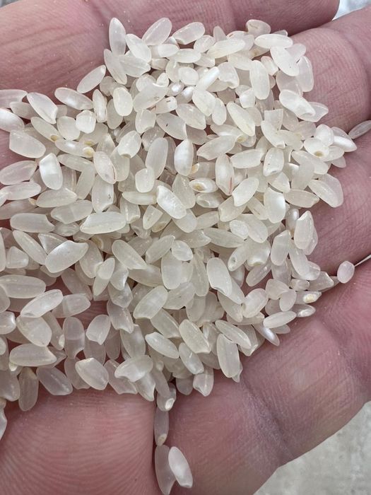 Сорт  «ЛИДЕР” Высокого Качества