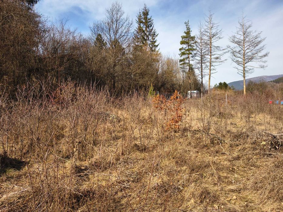 Панорамен парцел – Свидня в.з."Герова леска" ОТ СОБСТВЕНИК