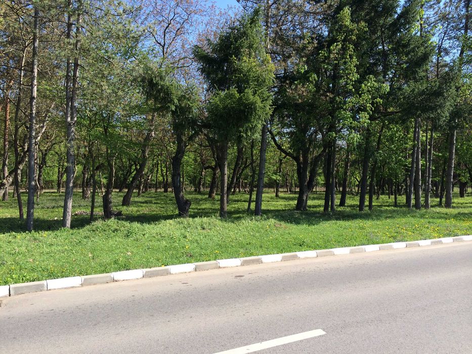 Vand teren 7.000 mp Snagov Sat (Soseaua Snagov)