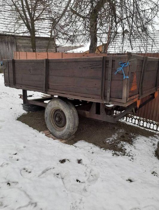 Vand sau schimb cu oi