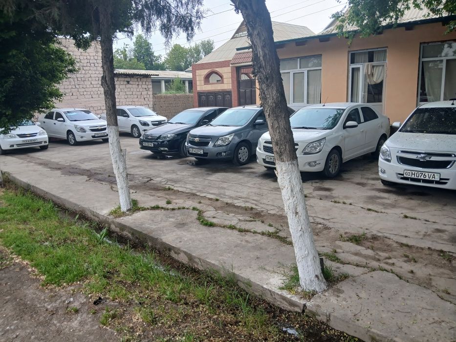 Other Cobalt 2023 — 3