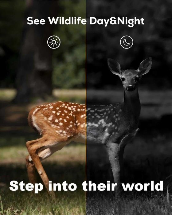 iZEEKER камера за проследяване, HD ловна камера с 940nm без подсветка